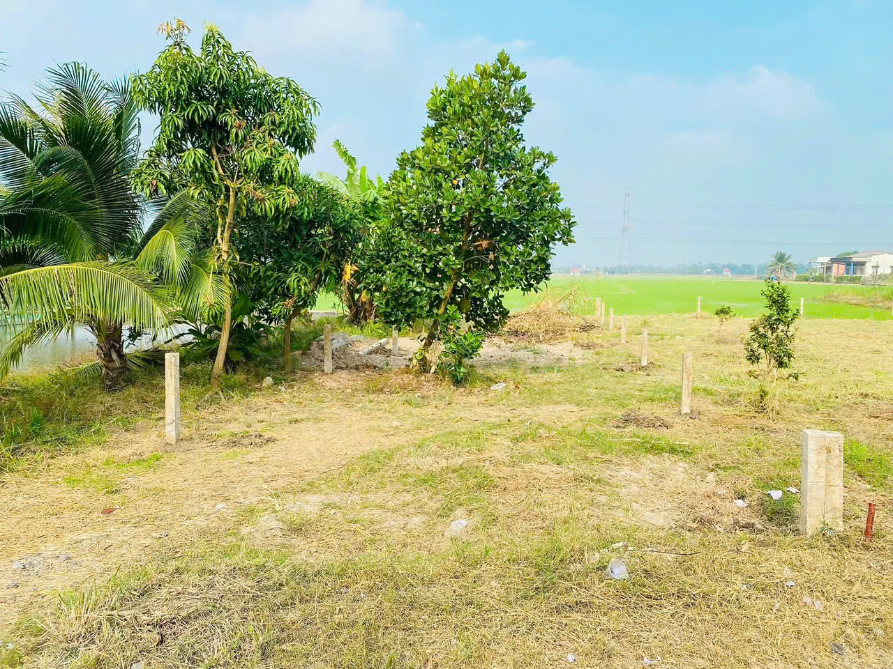 5x30 thổ cư MT nguyễn văn dư giá 750tr ngay chợ bình lãng tân trụ 5x30 thổ cư MT nguyễn văn dư giá 750tr ngay chợ bình lãng tân trụ