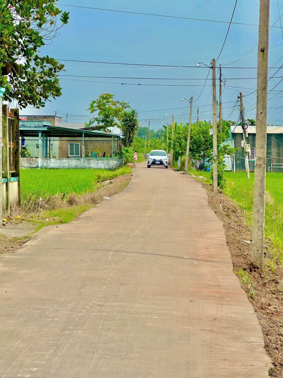 mặt đường Nguyễn Thị Tầm cách 833 ( chợ Binh lãng 450m)
