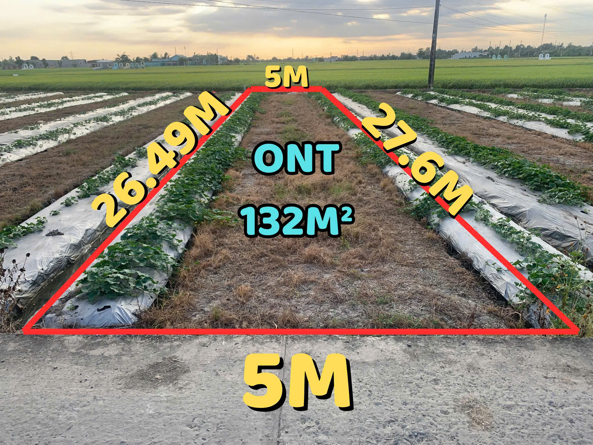 Mặt tiền đường Bùi văn Gà -Thỗ cư - Ấp 3 - xã Quê Mỹ Thạnh - Tân tru Long an Mặt tiền đường Bùi văn Gà -Thỗ cư - Ấp 3 - xã Quê Mỹ Thạnh - Tân tru Long an