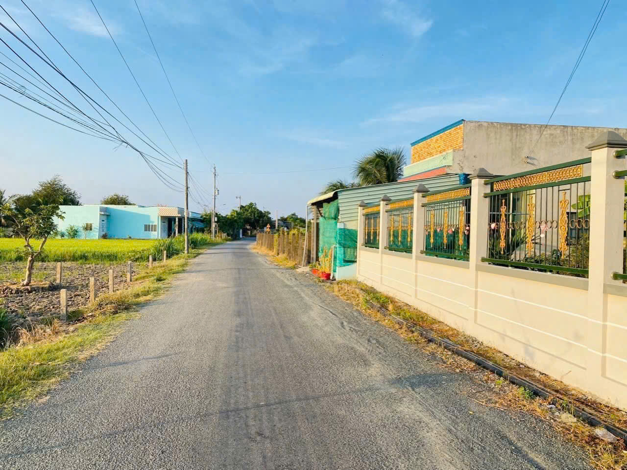 Bán ĐẤT THỔ CƯ ĐƯỜNG NHỰA NGUYỄN THỊ LẦU. CÁCH TỈNH LỘ 833B THẲNG 500M! Bán ĐẤT THỔ CƯ ĐƯỜNG NHỰA NGUYỄN THỊ LẦU. CÁCH TỈNH LỘ 833B THẲNG 500M!