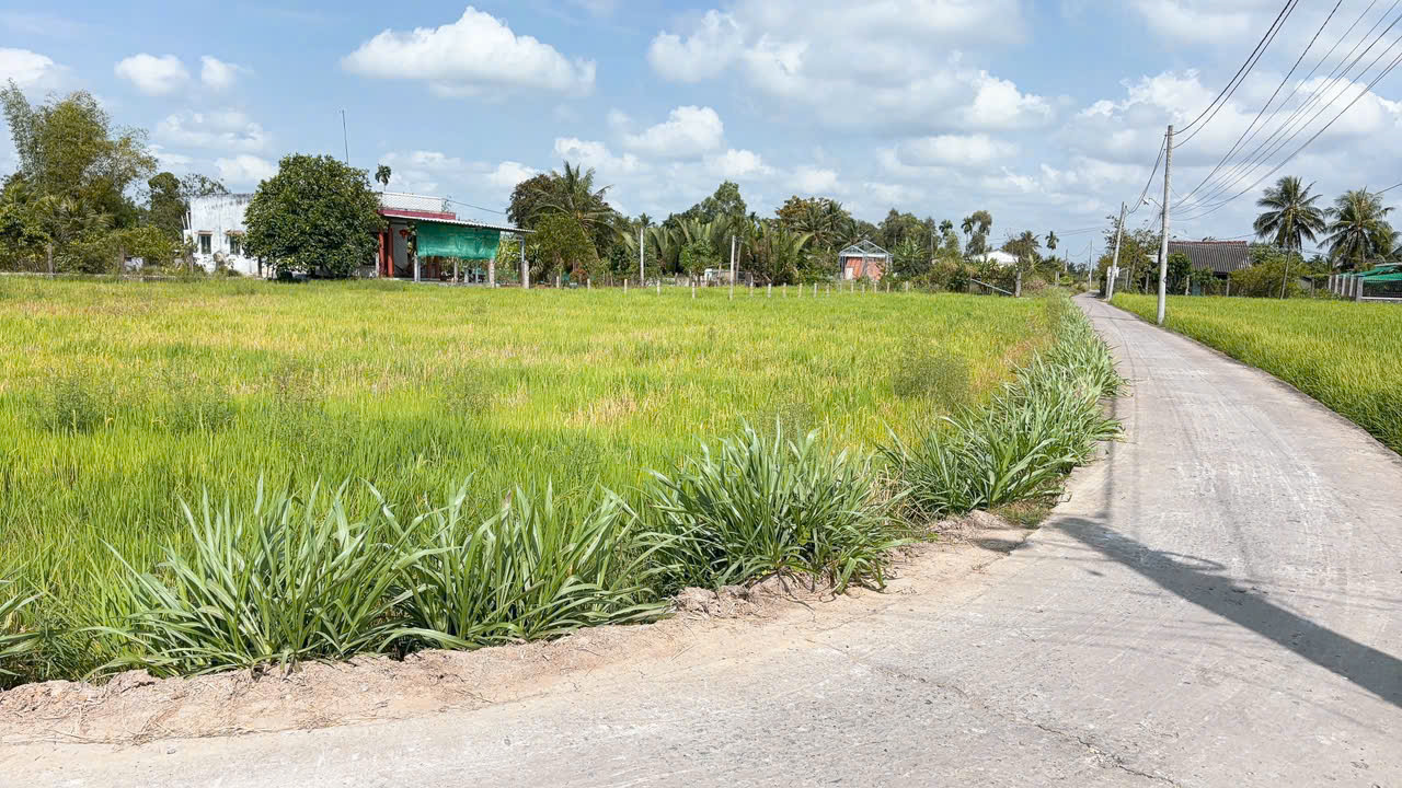 🍀 bán đất thổ cư Gần chợ tân trụ 700m tới đất
- DT : 5x23 ONT
Giá 470tr 🍀 bán đất thổ cư Gần chợ tân trụ 700m tới đất
- DT : 5x23 ONT
Giá 470tr