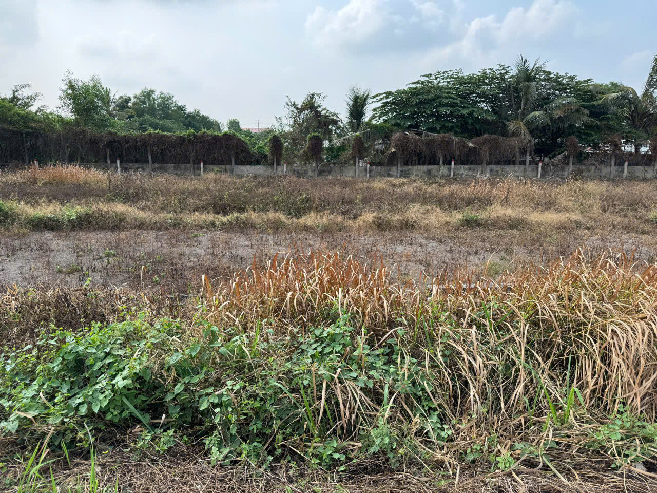 đất thổ cư xã Bình Lãng, Tân Trụ , Long An.
- cách nhựa tl833 vô 50m
DT : 5 x 28 thổ cư
-Giá :690tr