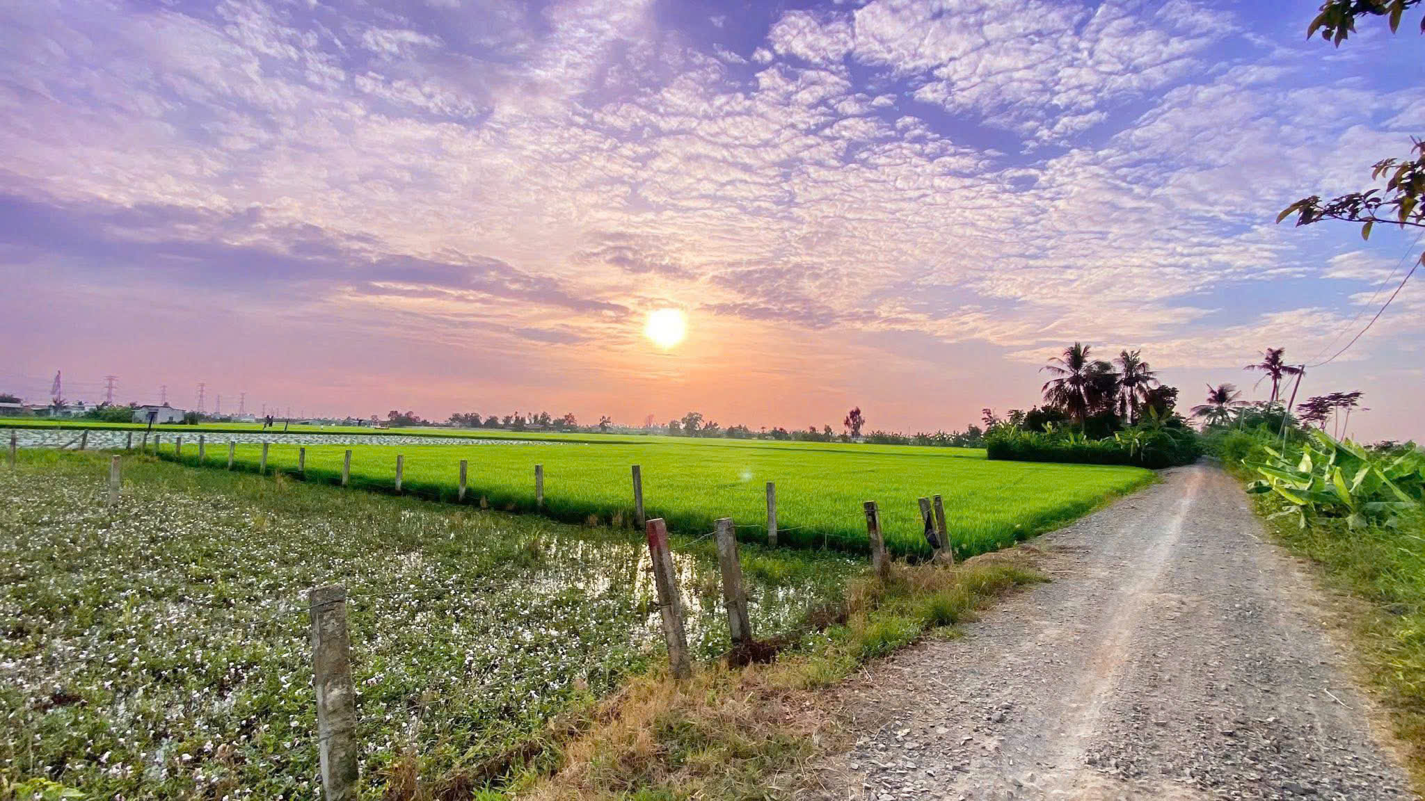 Bán nền thổ cách chợ Bình Lãng 500m, 5x29 giá 520tr Tân Trụ Long An Bán nền thổ cách chợ Bình Lãng 500m, 5x29 giá 520tr Tân Trụ Long An