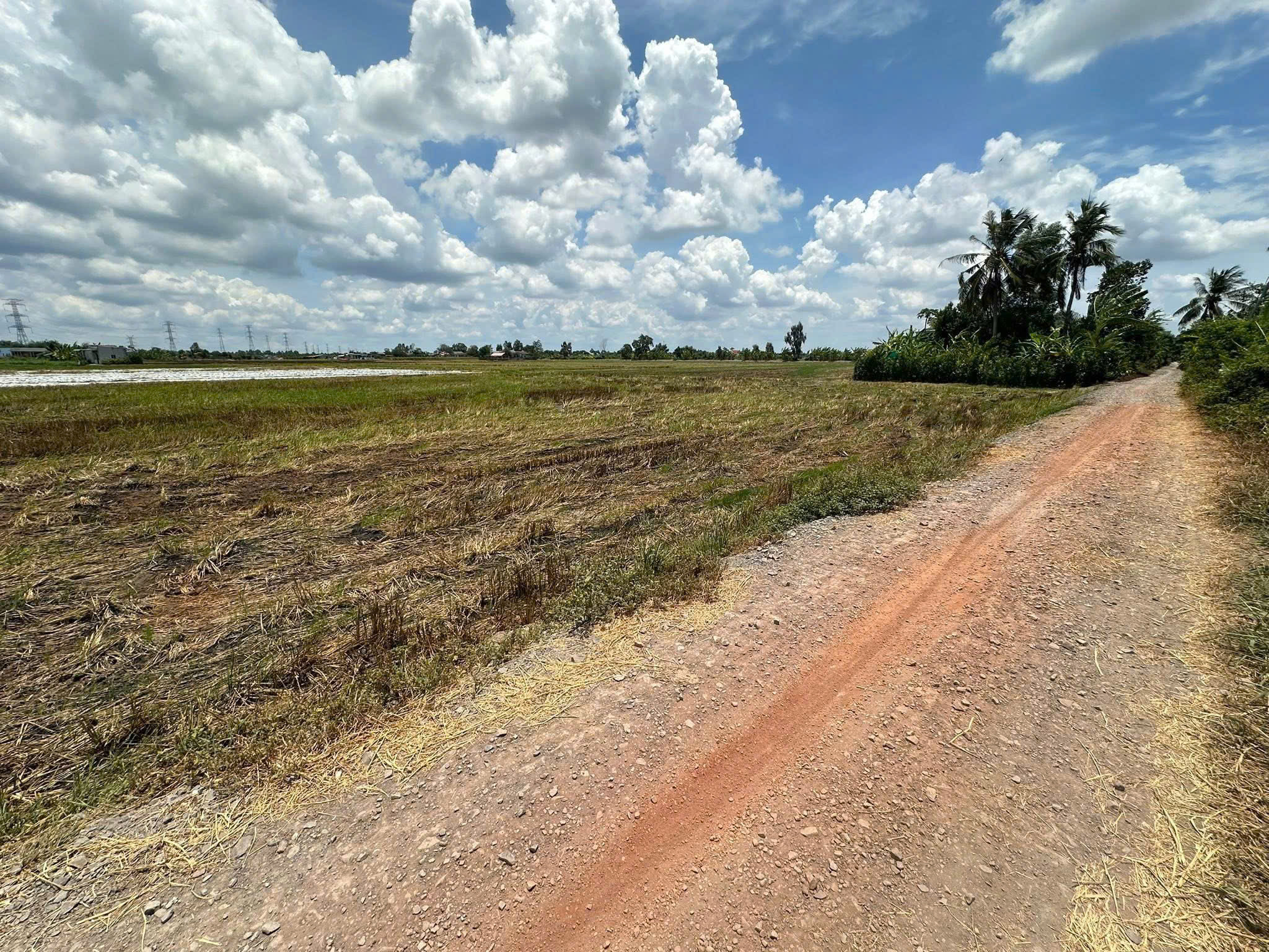 CHỢ BÌNH LÃNG vô 500mDiện tích 5x29m 145m2 Giá 520tr Bình Lãng Tân Trụ Long An