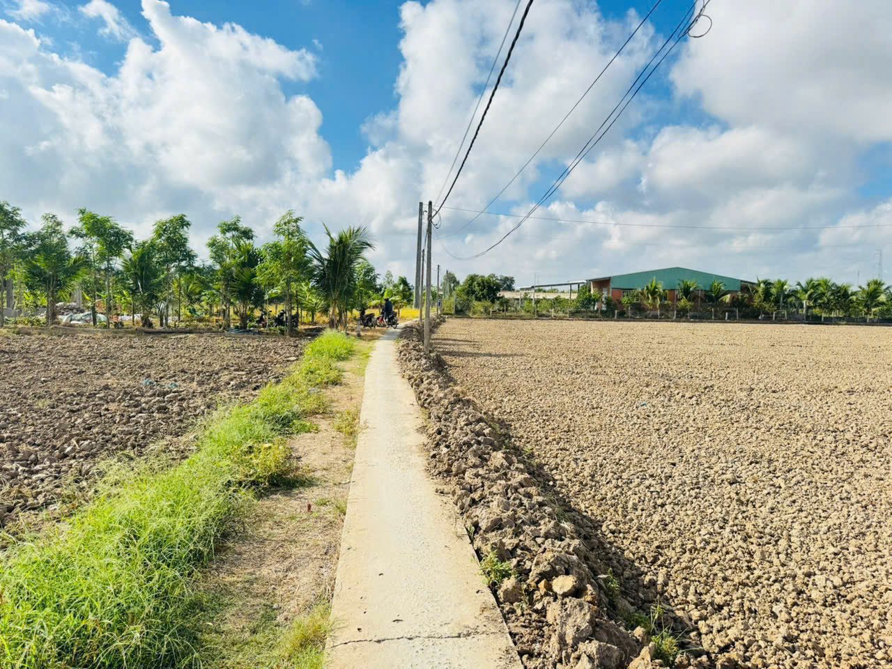 Bán Nền Cách Nguyễn thị lầu 200m, 1173m2 trong đó 10x30 thổ, Giá : 850tr Bán Nền Cách Nguyễn thị lầu 200m, 1173m2 trong đó 10x30 thổ, Giá : 850tr