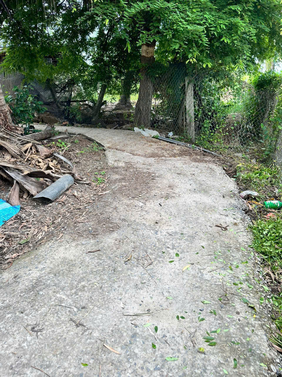 Bán Nền Cách Nguyễn thị lầu 200m, 1173m2 trong đó 10x30 thổ, Giá : 850tr Bán Nền Cách Nguyễn thị lầu 200m, 1173m2 trong đó 10x30 thổ, Giá : 850tr