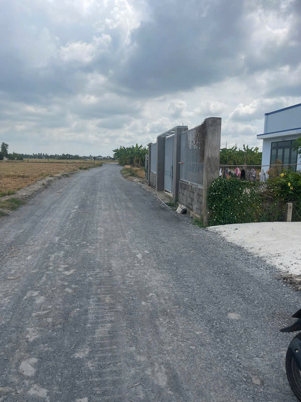 Bán nền cách Nhựa Nguyễn Văn Vịnh 100m 5x25 giá 390tr Bình Trinh Đông Tân Trụ Long An