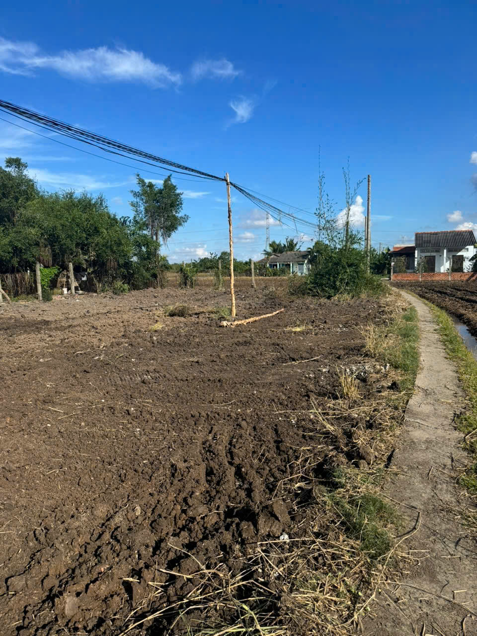 Bán đất cách TL833B 60m 6x17 giá 299tr Lạc Tấn Tân Trụ Long An Bán đất cách TL833B 60m 6x17 giá 299tr Lạc Tấn Tân Trụ Long An