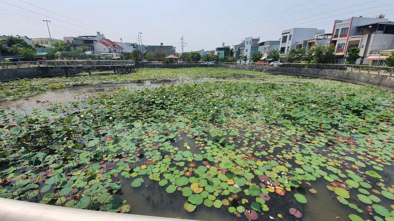 Chốt ngay nhà đẹp ở trước hồ sen gần Điện Biên Phủ, Q.Thanh Khê, TP. Đà Nẵng Chốt ngay nhà đẹp ở trước hồ sen gần Điện Biên Phủ, Q.Thanh Khê, TP. Đà Nẵng