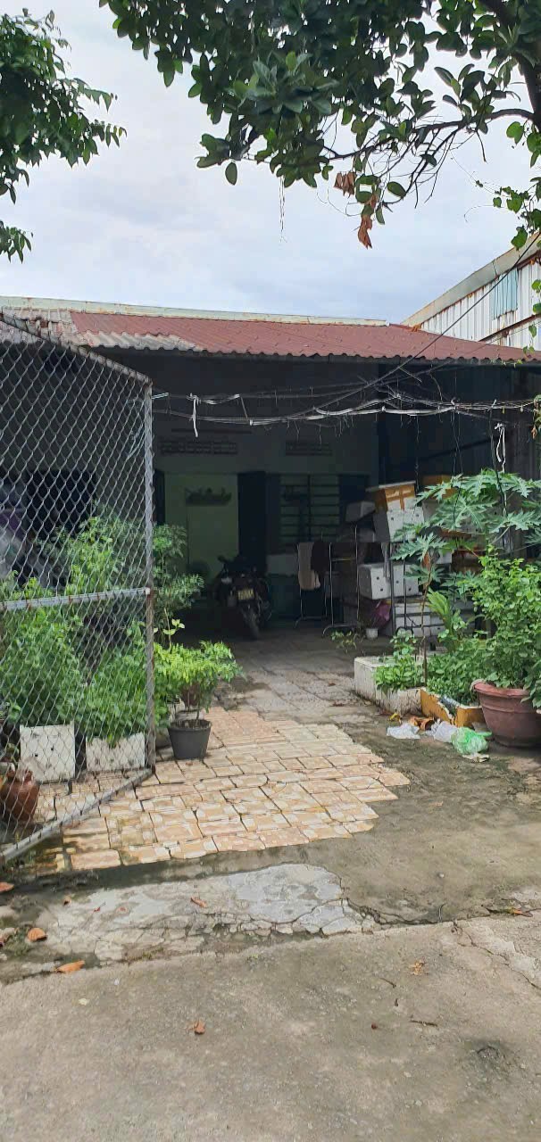 Mua ngay lô đất tặng kèm nhà cấp 4, Q.Liên Chiểu, TP. Đà Nẵng Mua ngay lô đất tặng kèm nhà cấp 4, Q.Liên Chiểu, TP. Đà Nẵng