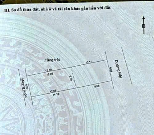 Mua ngay lô đất tặng kèm nhà cấp 4, Q.Liên Chiểu, TP. Đà Nẵng Mua ngay lô đất tặng kèm nhà cấp 4, Q.Liên Chiểu, TP. Đà Nẵng