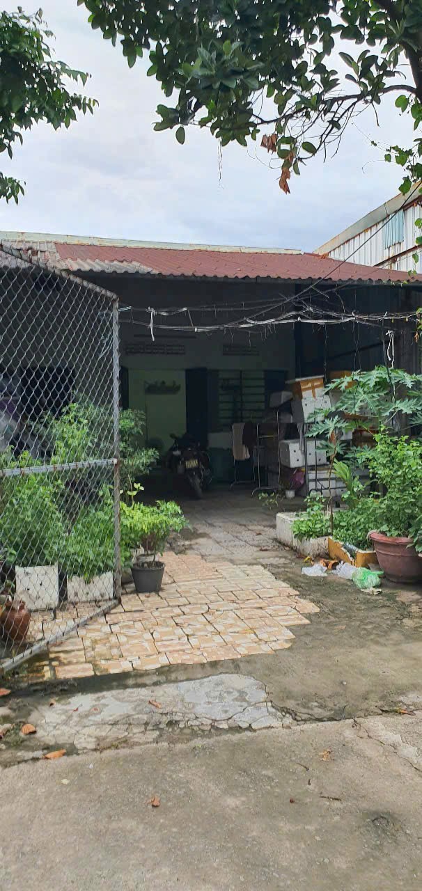 Bán đất tặng kèm nhà cấp 4 gần đường Hoàng Văn Thái, Q.Liên Chiểu, TP. Đà Nẵng Bán đất tặng kèm nhà cấp 4 gần đường Hoàng Văn Thái, Q.Liên Chiểu, TP. Đà Nẵng