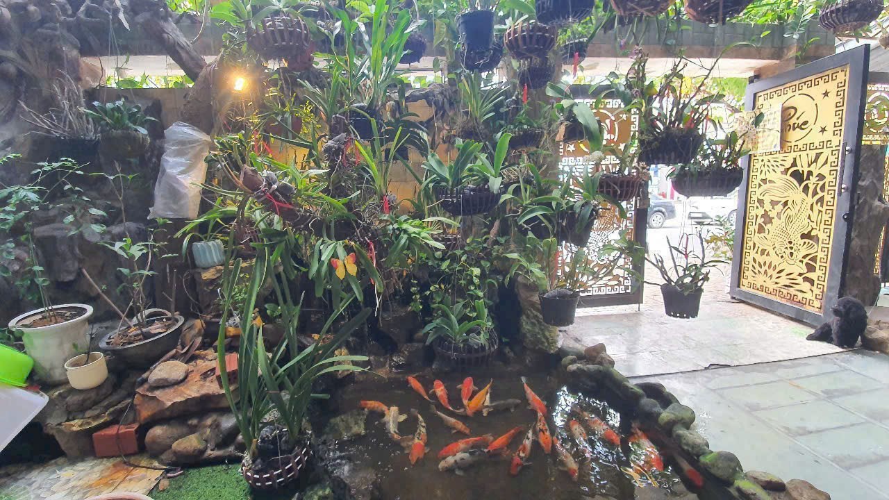 Nhanh tay mua ngay nhà mặt tiền gần đường Bắc Sơn, Q.Cẩm Lệ, TP. Đà Nẵng Nhanh tay mua ngay nhà mặt tiền gần đường Bắc Sơn, Q.Cẩm Lệ, TP. Đà Nẵng