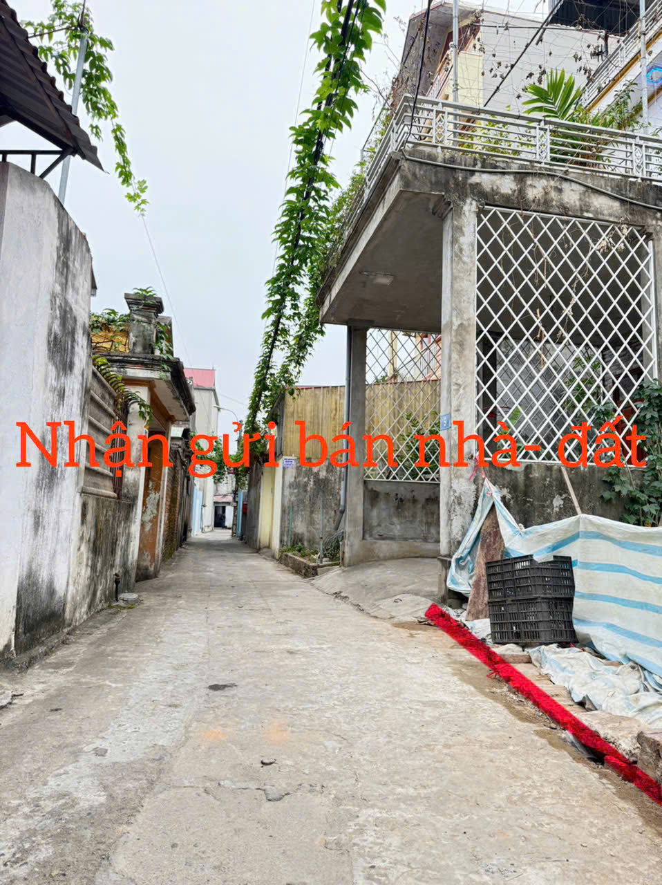 Bán đất thổ cư 100%, ô tô đỗ cửa tại tổ dân phố số 6, thị trấn Quang Minh, Mê Linh