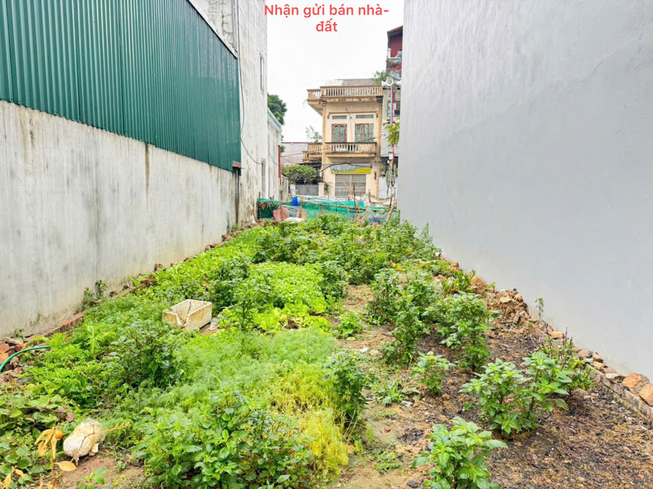 Bán đất thổ cư tại thôn Thuỵ Hà, Bắc Hồng, Đông Anh, Hà Nội. Gần chợ Bắc Hồng