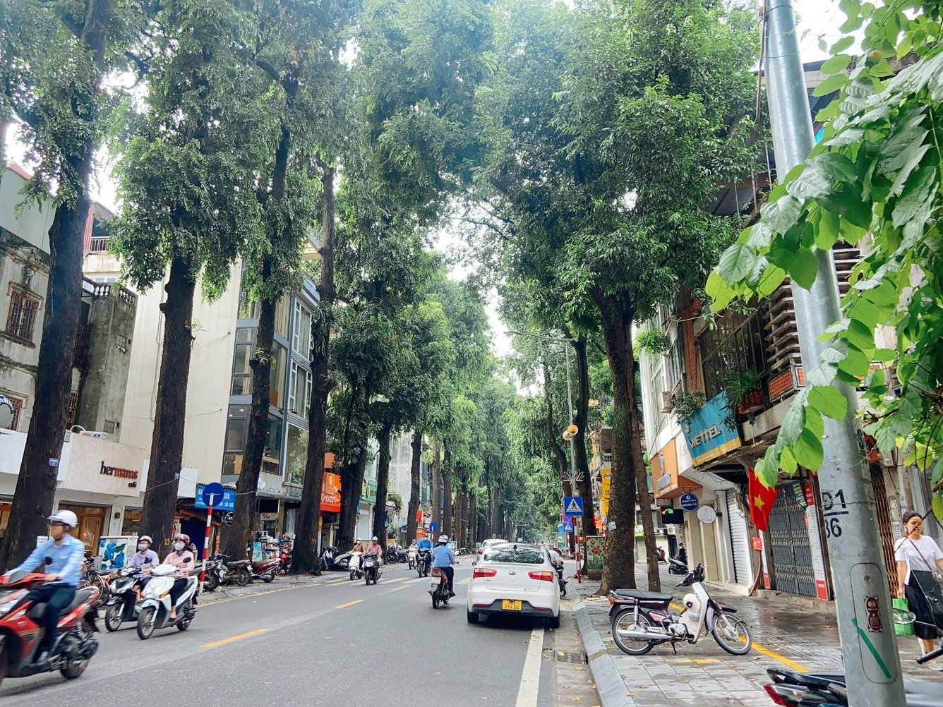 Cần bán nhà mặt phố Lê Duẩn – Hoàn Kiếm, vị trí cực phẩm, 155m2 sổ cực đẹp Cần bán nhà mặt phố Lê Duẩn – Hoàn Kiếm, vị trí cực phẩm, 155m2 sổ cực đẹp