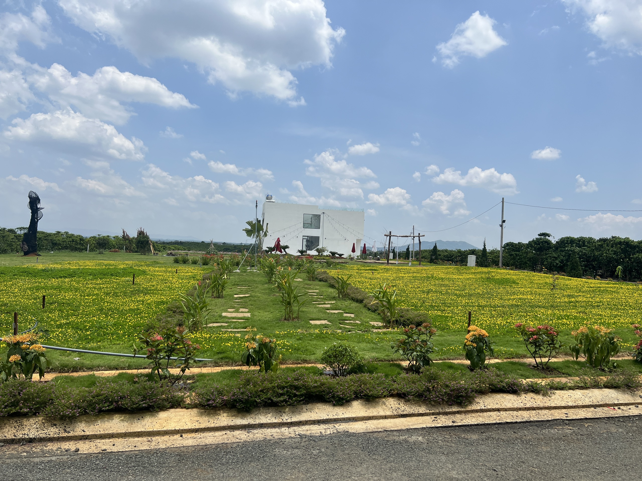 CHỦ ĐI NƯỚC NGOÀI CẦN RA GẤP 3 NỀN ĐẸP Ở LỘC AN - GIÁ CỰC SỐC!!!