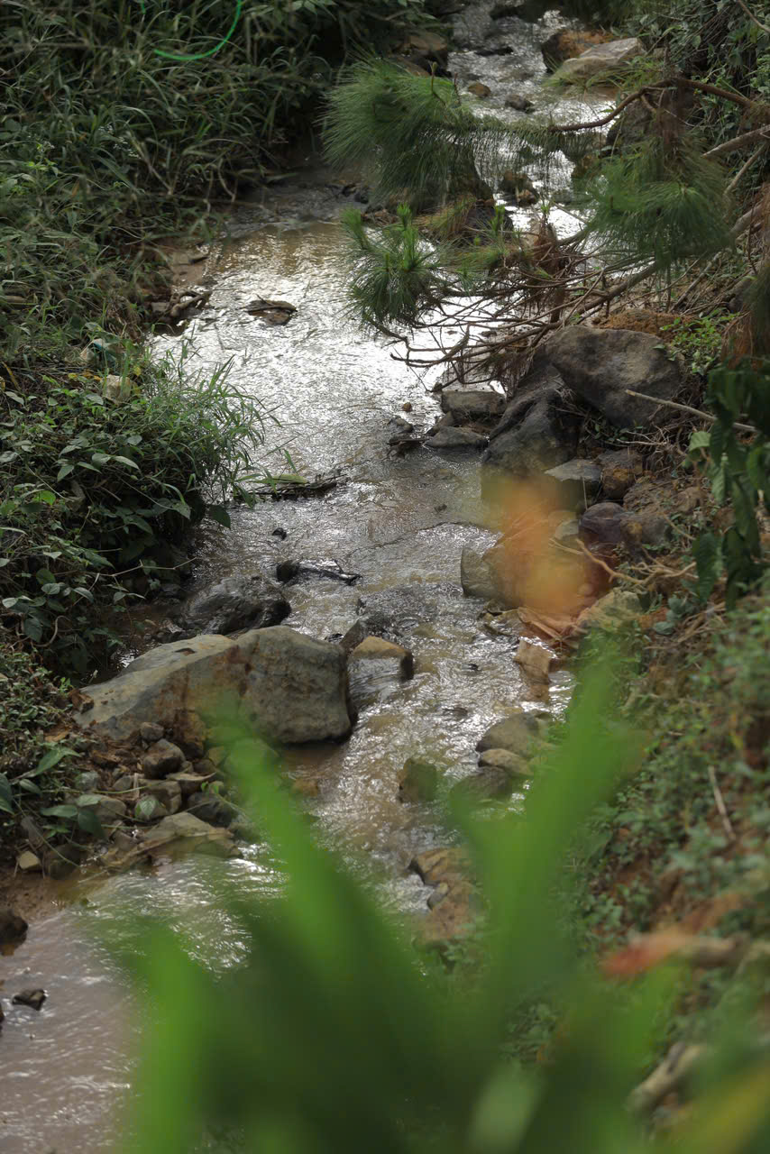 Đất nghỉ dưỡng Bảo Lộc có suối tự nhiên bao quanh, view đồi cao nhìn mây, đồi núi, dân cư hiện hữu Đất nghỉ dưỡng Bảo Lộc có suối tự nhiên bao quanh, view đồi cao nhìn mây, đồi núi, dân cư hiện hữu