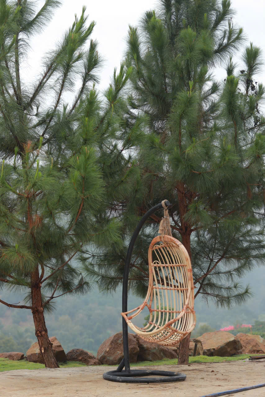 AMAN BLAO – CHỐN BÌNH YÊN GIỮA THIÊN NHIÊN BẢO LỘC🌿✨