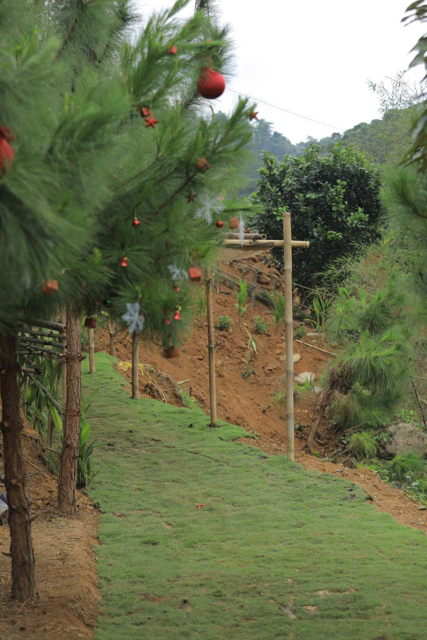 AMAN BLAO – CHỐN BÌNH YÊN GIỮA THIÊN NHIÊN BẢO LỘC🌿✨