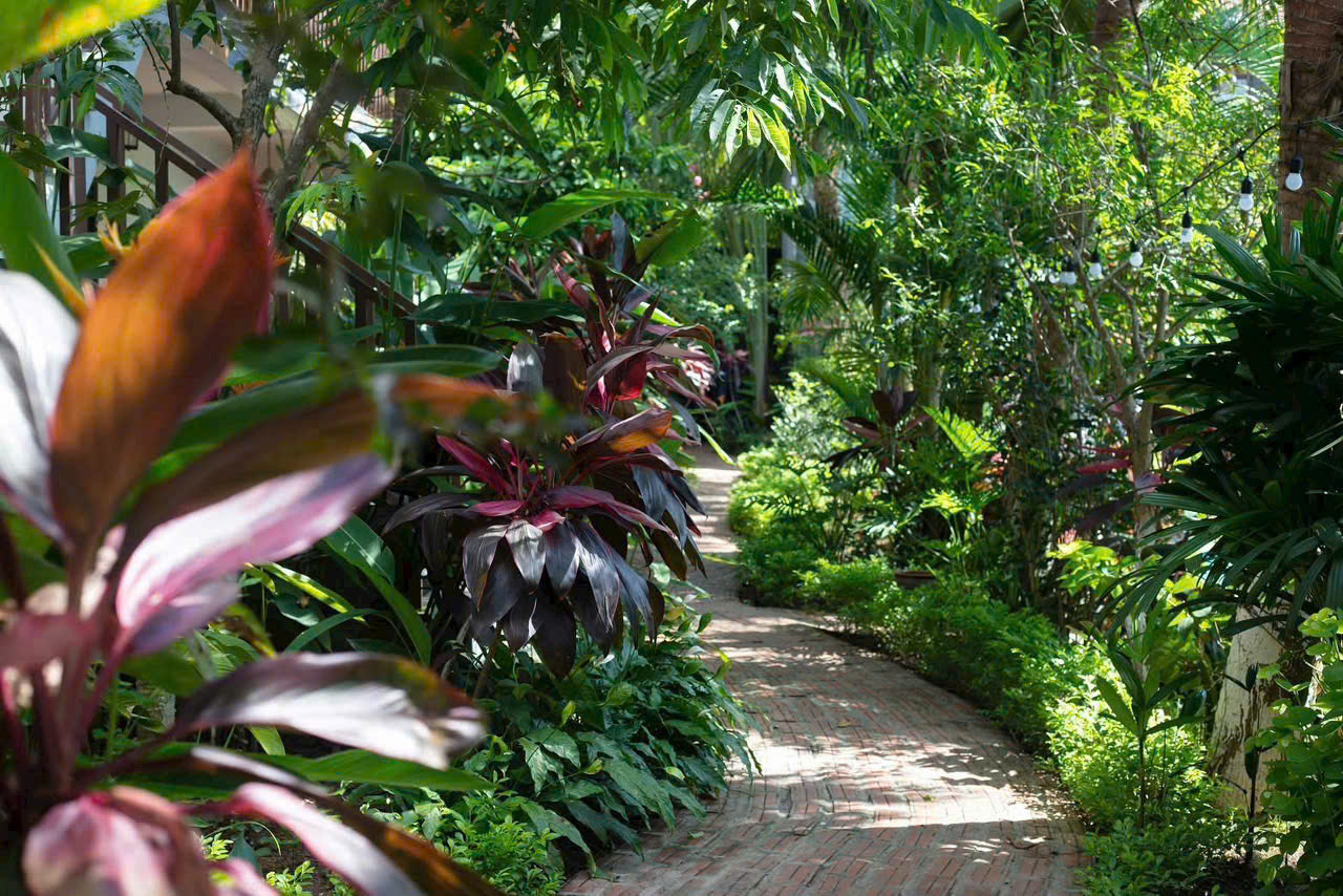 Vân Thôn Retreat - một nơi để ‘biến mất’ khỏi thành phố mà không cần đi quá xa