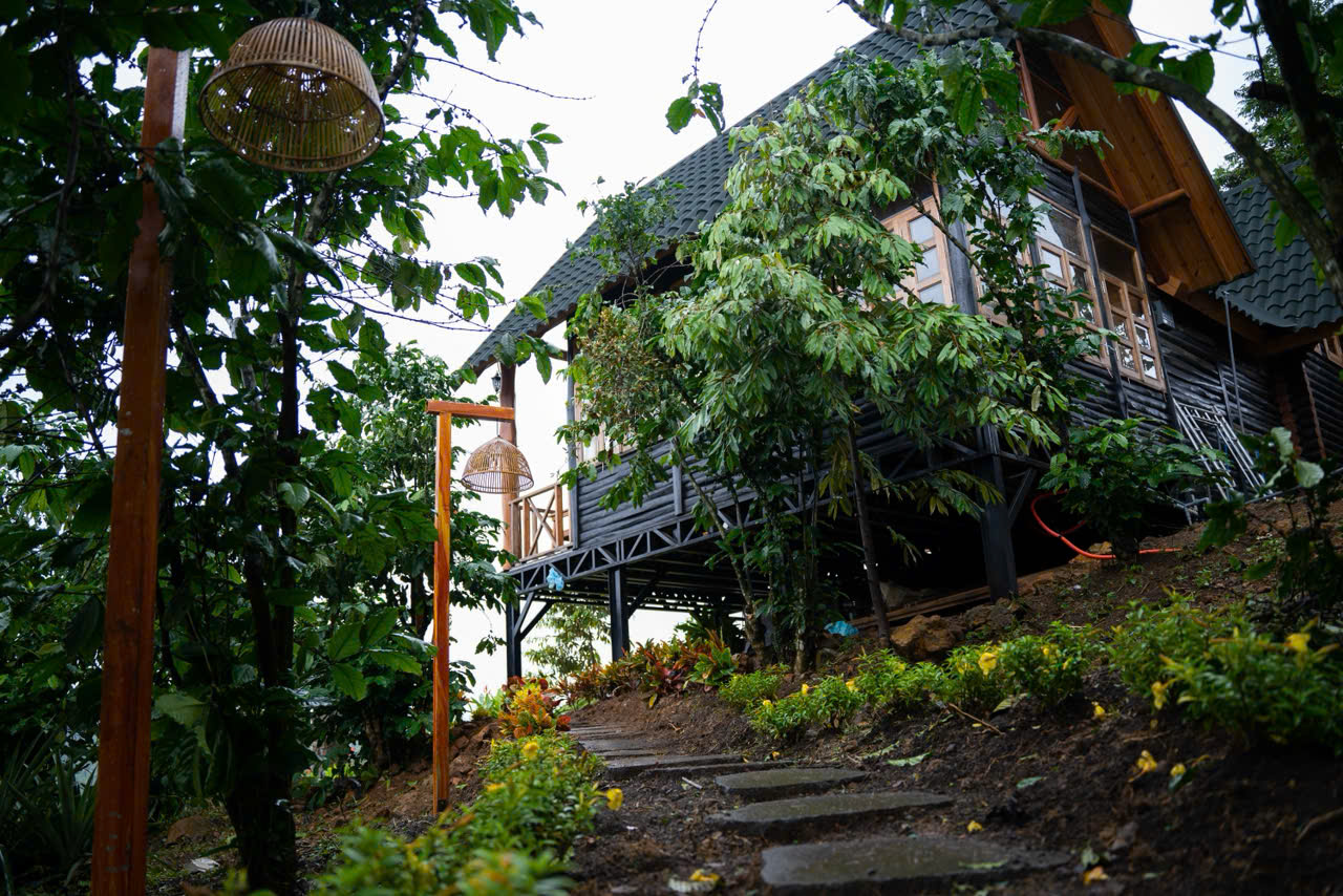 Chỉ 1 lô duy nhất: 1117m² đất nghỉ dưỡng – có suối, ngang khủng 50m, khí hậu mát quanh năm