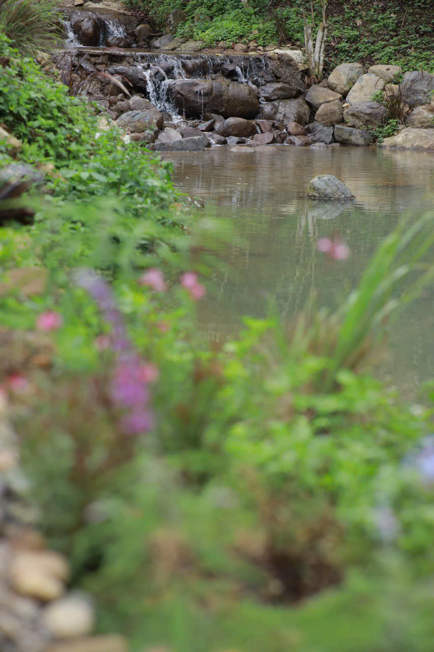Làng Oa - Bảo Lộc, ngôi Làng nhà gỗ giữa thiên nhiên nguyên bản, cộng đồng tử tế hiện hữu, SHR