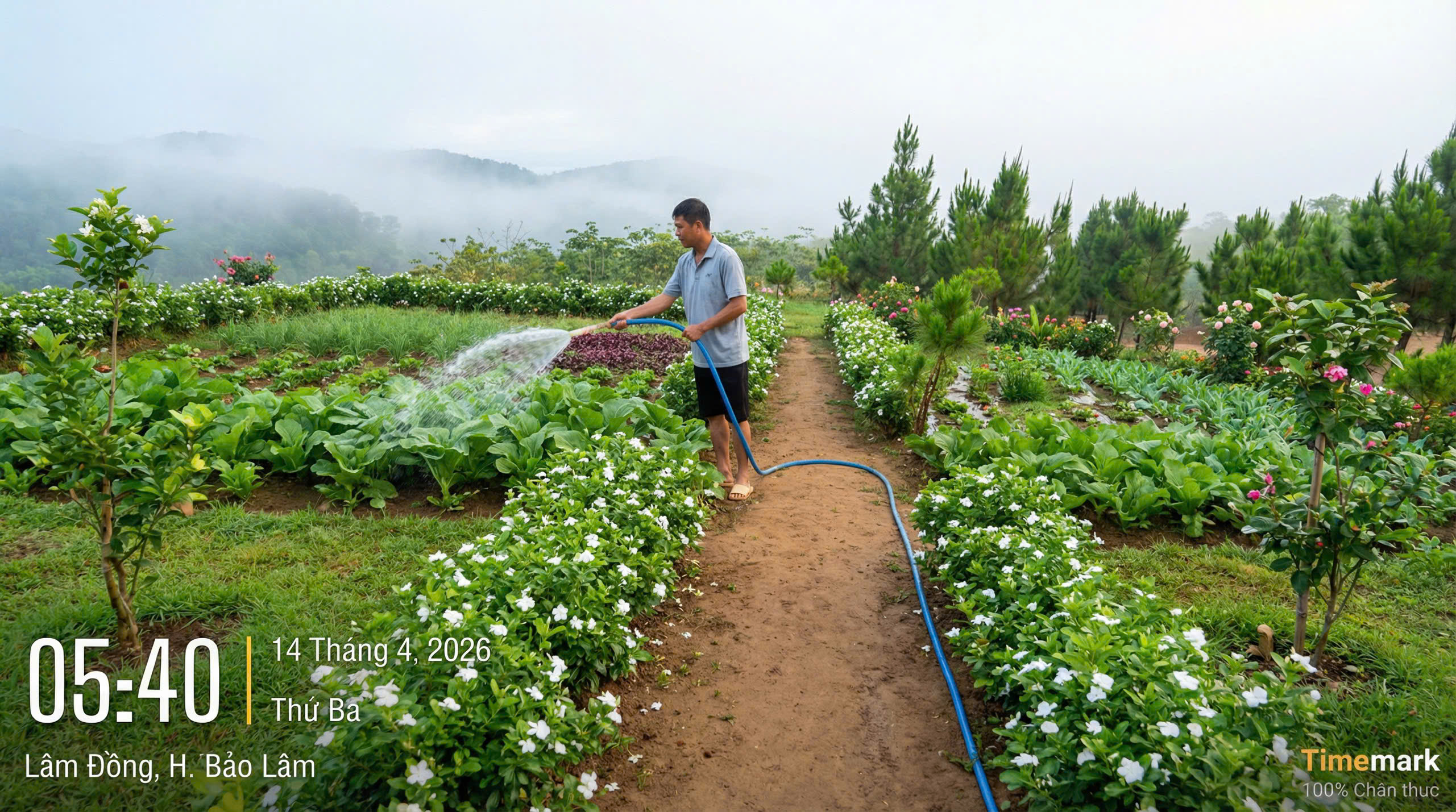 Chính chủ cần bán lô 1000m2 tại Làng Oa, sẵn điện nước xây dựng ở ngay, nhiều cây ăn trái trên đất
