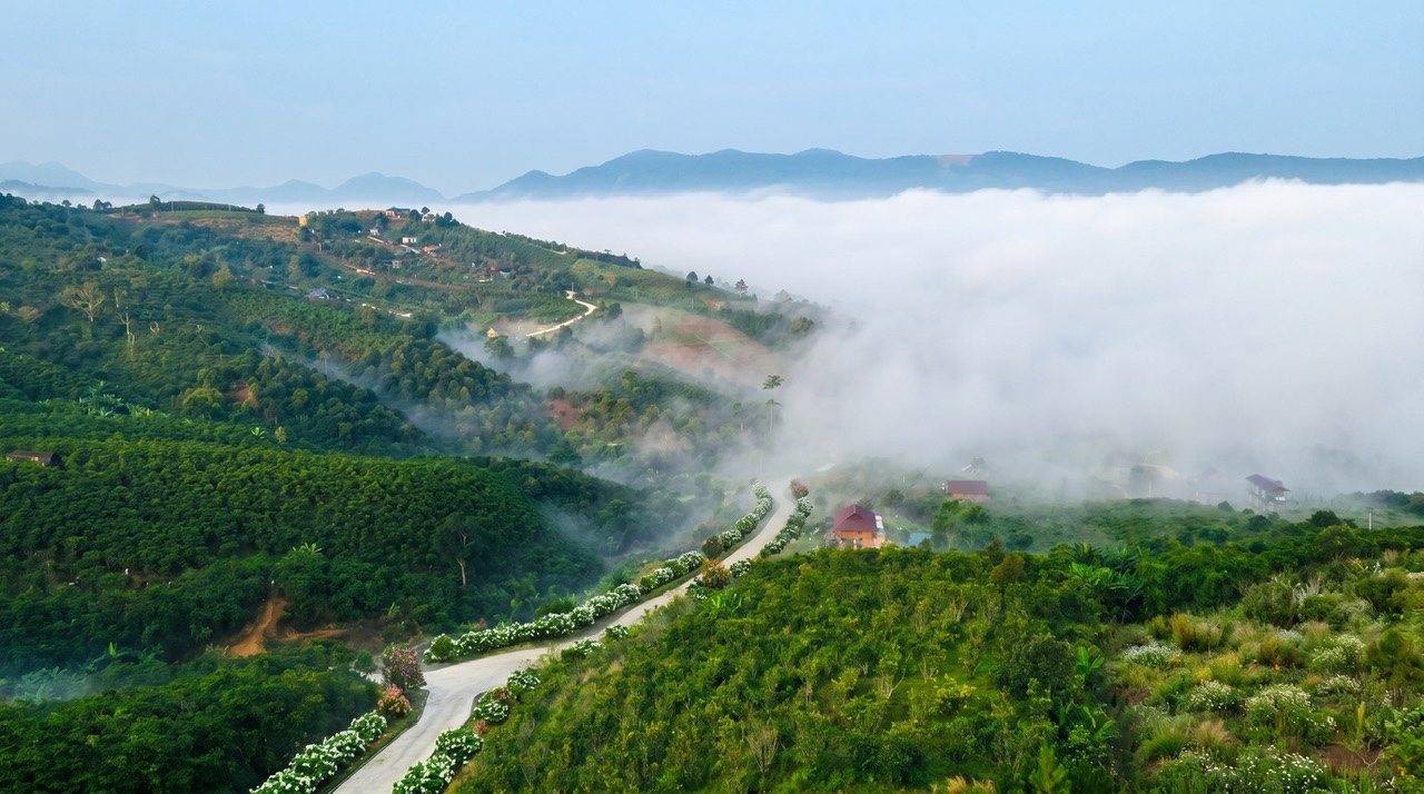 Làng Oa - Cộng đồng sống thuận tự nhiên, tử tế, cùng chung tần số. Không gian sống yên bình
