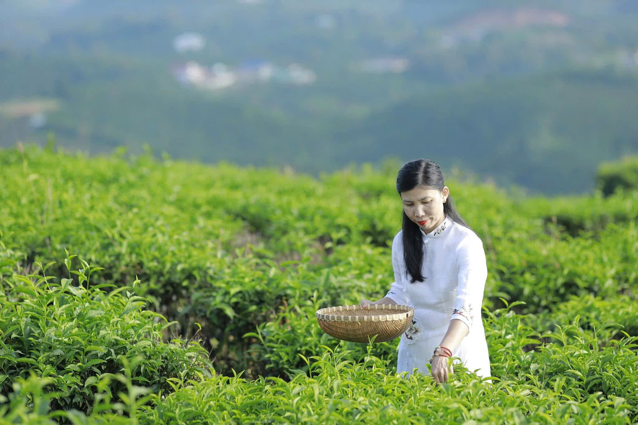Làng Oa - Phân khu duy nhất với 9 vị trí được ôm bởi đồi chè, sẵn 200m2 thổ cư, giá chỉ dưới 2 tỷ Làng Oa - Phân khu duy nhất với 9 vị trí được ôm bởi đồi chè, sẵn 200m2 thổ cư, giá chỉ dưới 2 tỷ