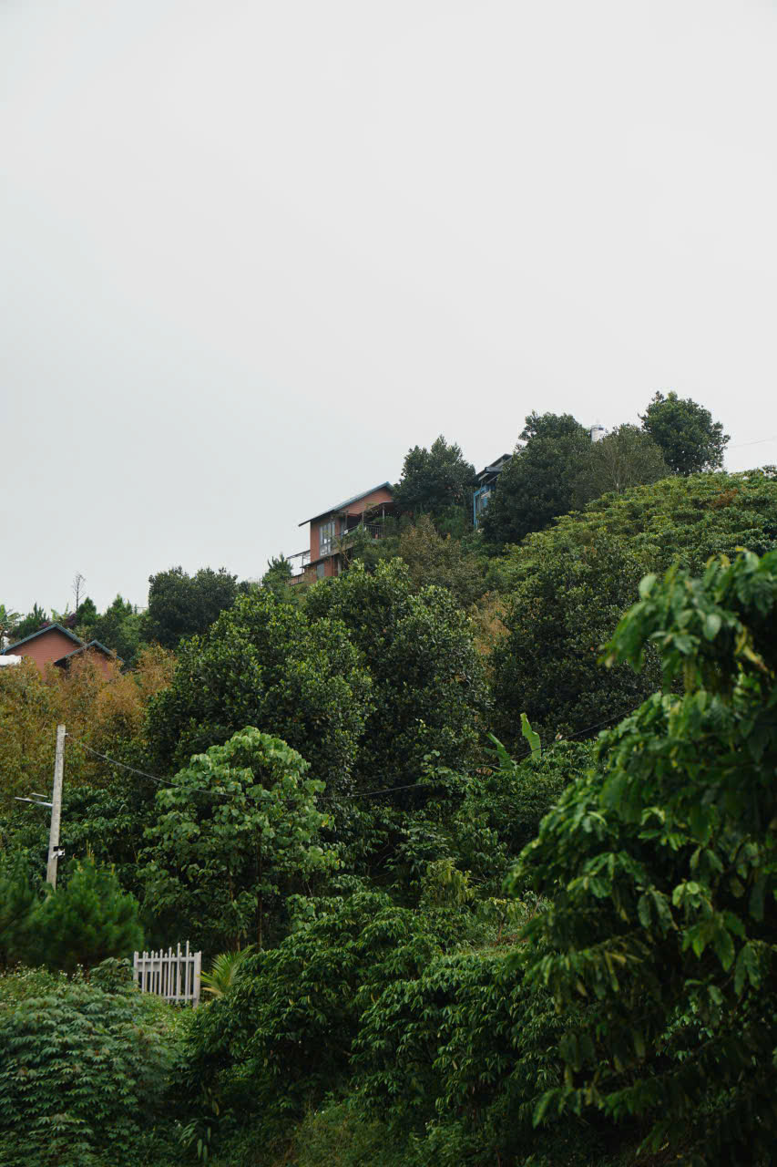 Vân Thôn Retreat - Một bước chạm mây, chạm tiện ích, suối quanh nhà, thư thả cuộc sống an nhiên Vân Thôn Retreat - Một bước chạm mây, chạm tiện ích, suối quanh nhà, thư thả cuộc sống an nhiên