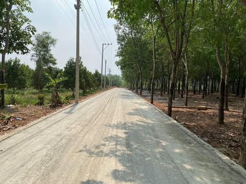 Đất vườn nhà ngọp chủ gửi bán gấp trong tuần 