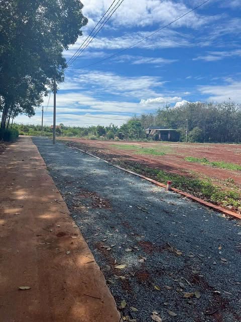 Chủ ngọp ngân hàng cần thanh lý gấp lô đất 1000m2 ( 20 x 50 ) sổ sẵn .