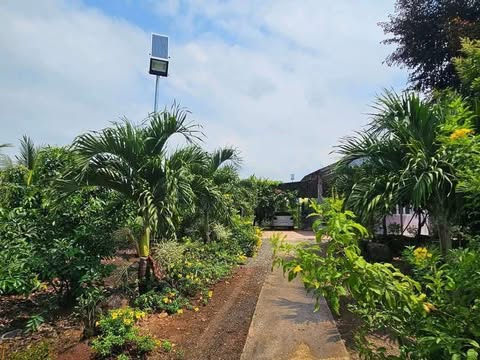 Chủ gửi bán gấp mảnh đất vườn nhà tâm huyết diện tích hơn 1000m2 có sẵn 100 thổ cư ,SHR