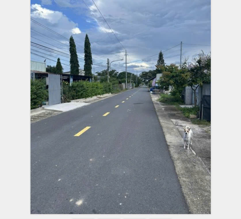 Bán Đất Lam Sơn, Phước Hoà Phú Mỹ Cách Đường S Chỉ Vài Trăm Mét Giá Cực Tốt Bán Đất Lam Sơn, Phước Hoà Phú Mỹ Cách Đường S Chỉ Vài Trăm Mét Giá Cực Tốt