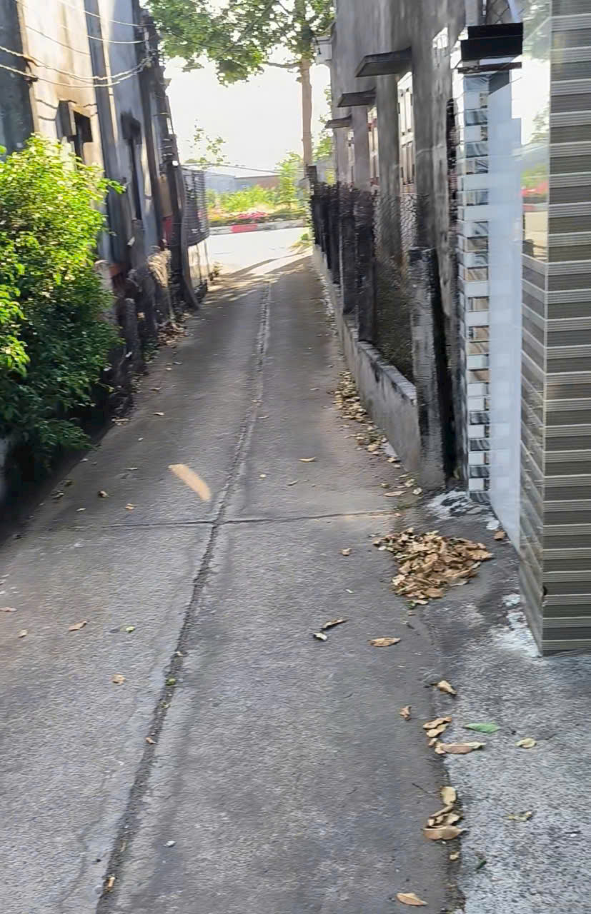 Bán Đất Phước Hội - Đất Đỏ Cách Đường DT44A Chỉ 10m Diện Tích 217m2 Bán Đất Phước Hội - Đất Đỏ Cách Đường DT44A Chỉ 10m Diện Tích 217m2