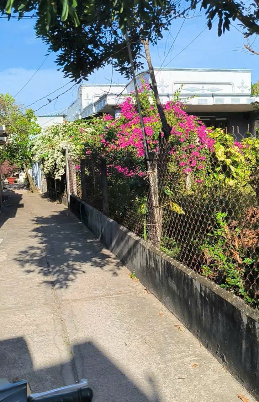 Bán Đất Phước Hội - Đất Đỏ Cách Đường DT44A Chỉ 10m Diện Tích 217m2 Bán Đất Phước Hội - Đất Đỏ Cách Đường DT44A Chỉ 10m Diện Tích 217m2