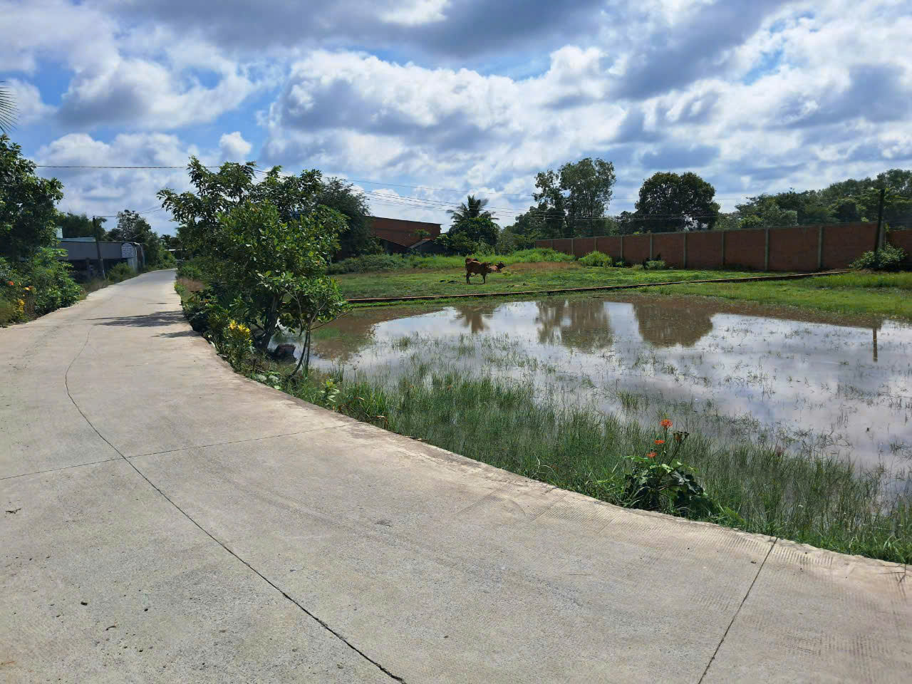 Bán thửa đất 2 mặt tiền tại Đức Hoà ngang 15m diện tích 324m2 giá 2ty450