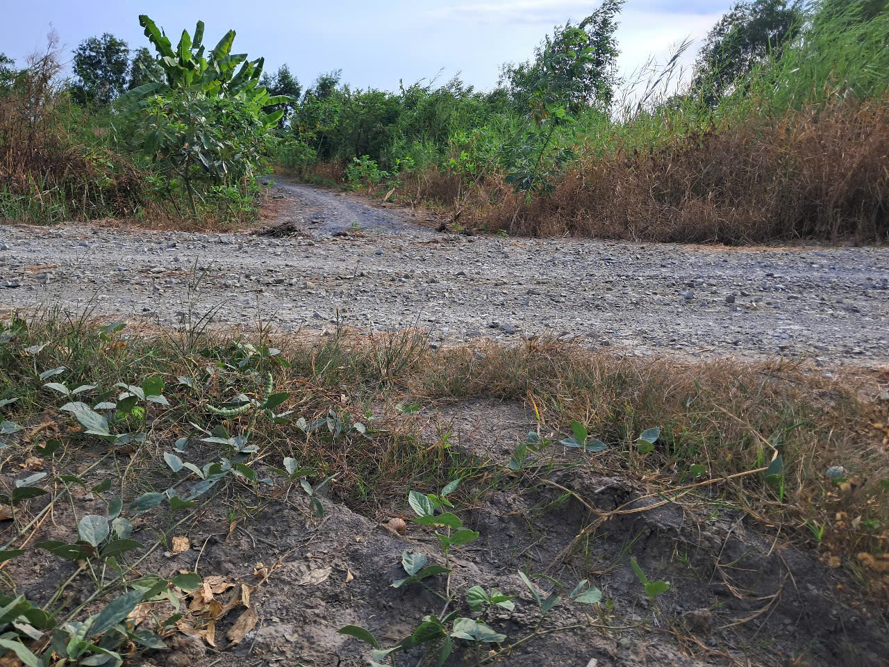 Bán lô đất 2 mặt tiền trước sau, view kênh, ngang 7m x 75m gia 1ty050 Bán lô đất 2 mặt tiền trước sau, view kênh, ngang 7m x 75m gia 1ty050