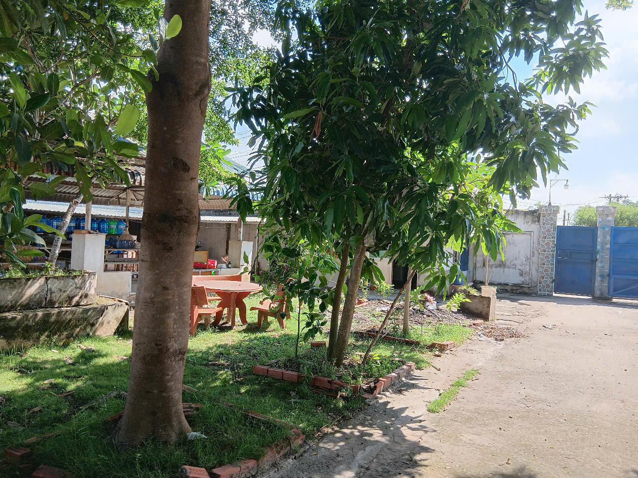 Bán nhà xưởng đường ĐT 823 Hoà Khánh Tây Đức Hòa Long An.