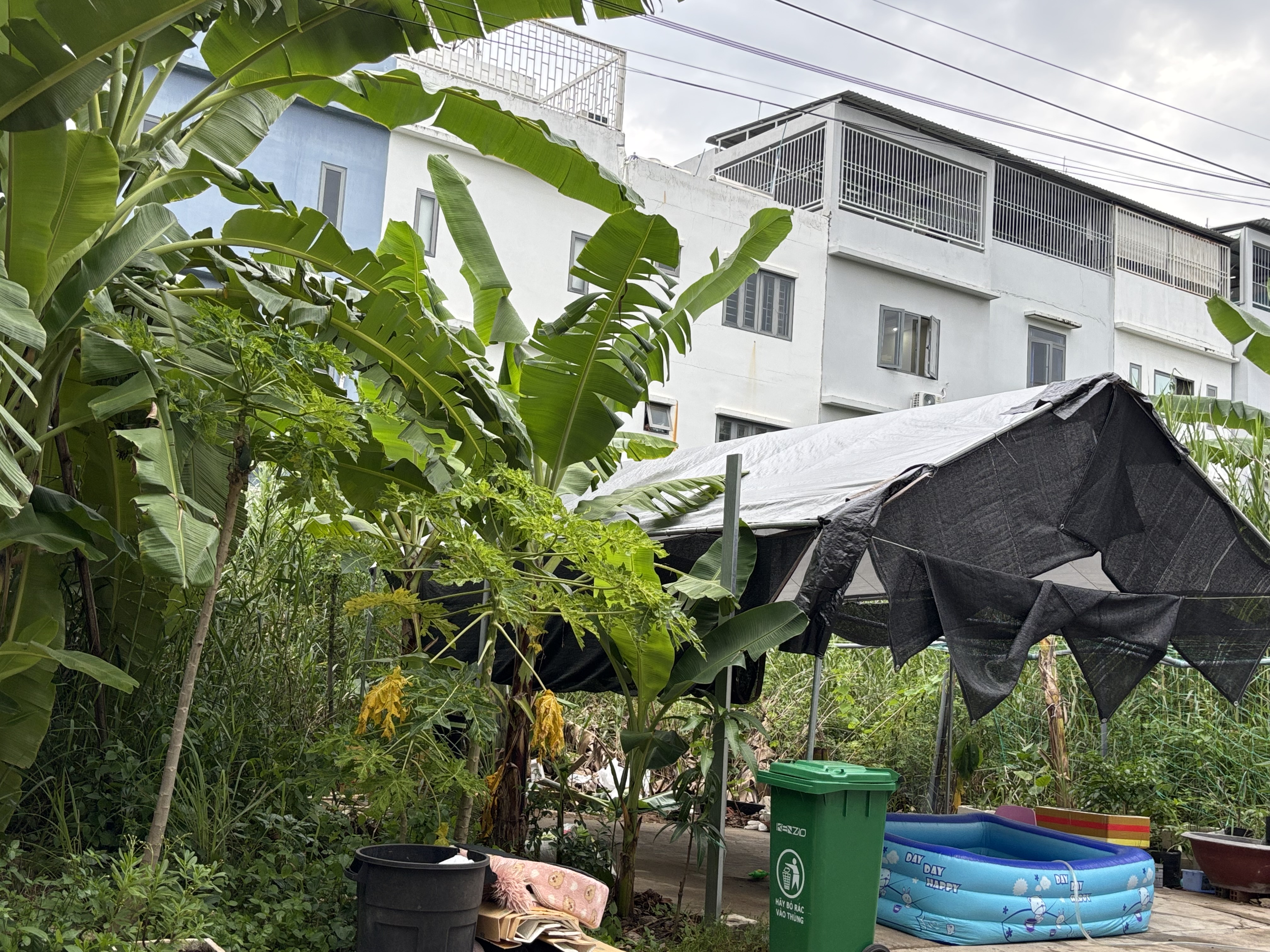 BÁN ĐẤT KDC ANH TUẤN – GẦN HUỲNH TẤN PHÁT – PHÚ XUÂN – NHÀ BÈ – 80M² – 3TỶ6