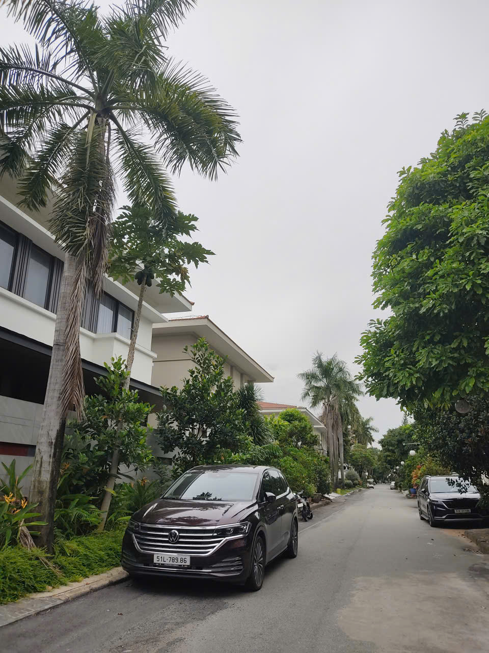 Bán biệt thự khu cảnh đồi mỹ quang, nam quang – phú mỹ hưng, quận 7