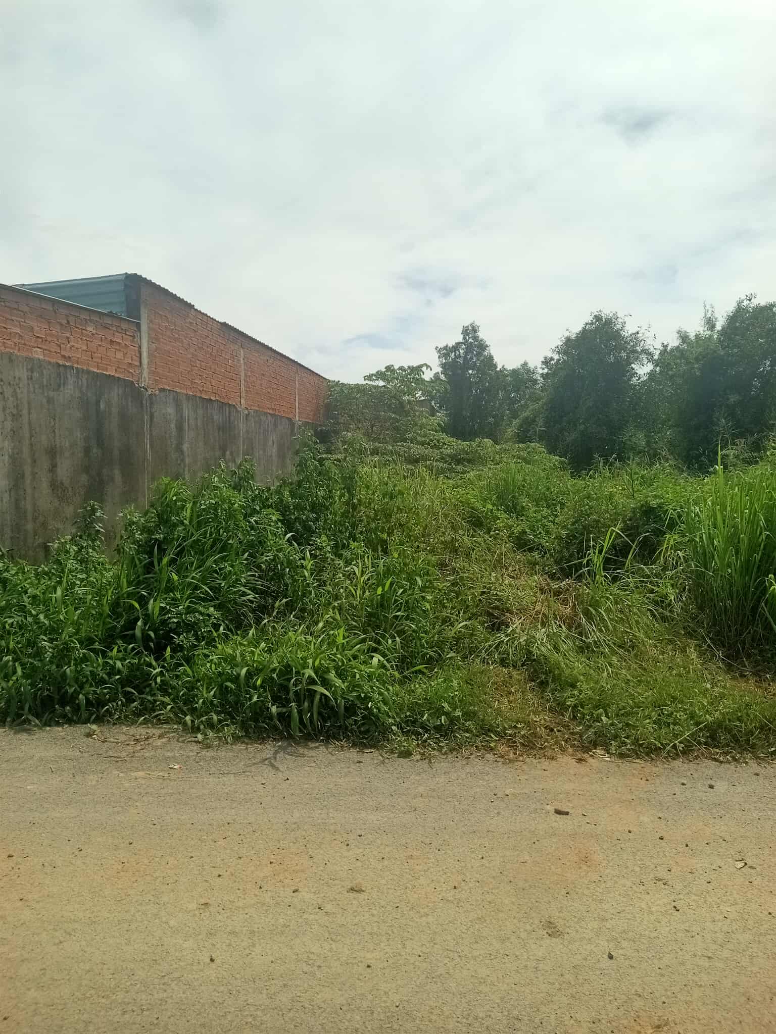 Đất đẹp, mặt tiền đường 19 tháng 3, Thạnh Phước, Tân Uyên, 172m, ngang 12,6m, chỉ 2,65 tỷ. 