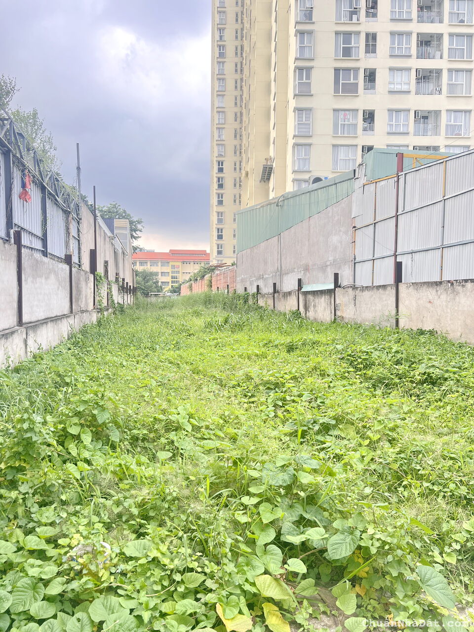 Cho thuê đất mặt tiền 7x55m đường Nguyễn Thị Thập P. Bình Thuận Quận 7