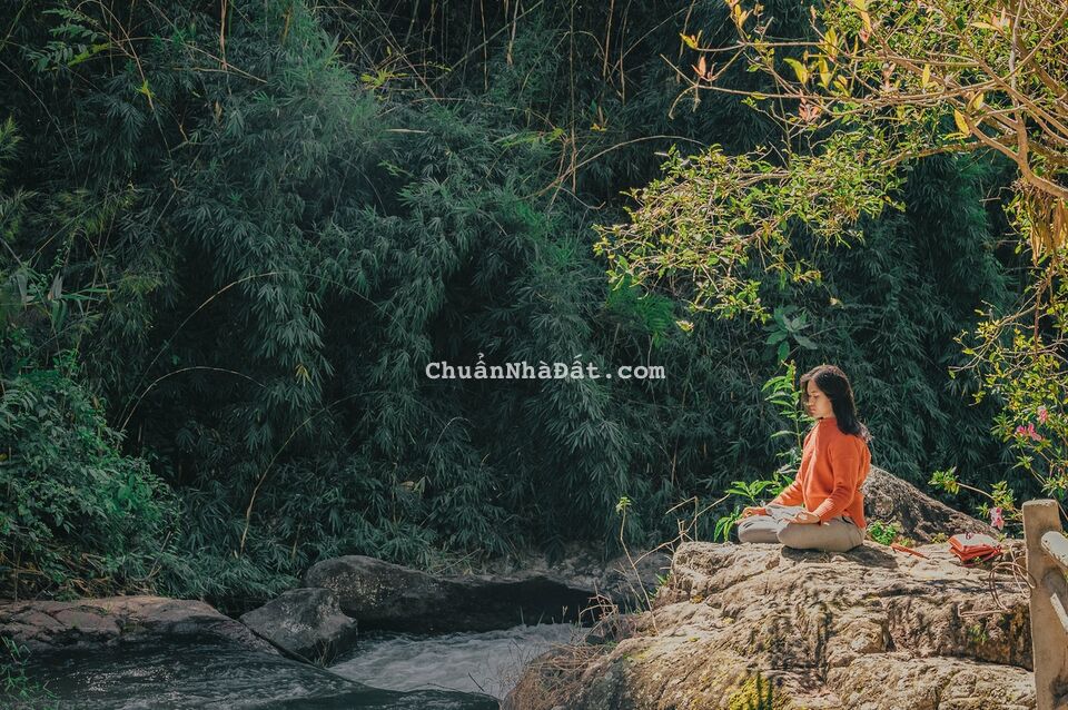 Hưởng trọn không khí trong lành của đất Phú Quốc.