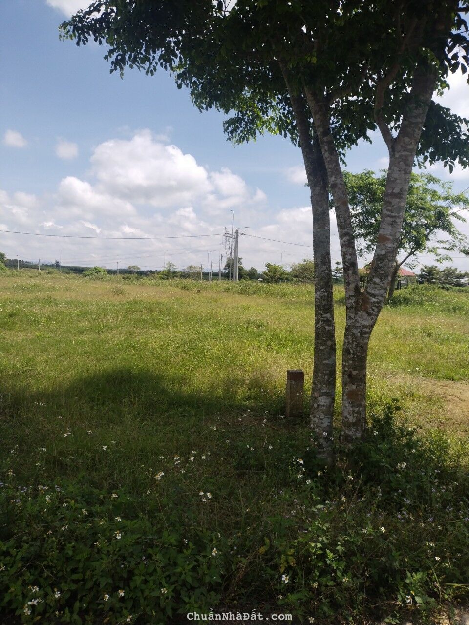 Bán nền khu dân cư Golden City, phường Lộc Phát,Tp Bảo Lộc dt 120m2 giá 1ty950 Bán nền khu dân cư Golden City, phường Lộc Phát,Tp Bảo Lộc dt 120m2 giá 1ty950