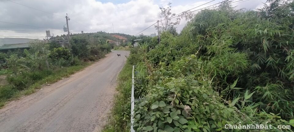 Đất vườn thôn 10 xã Lộc Nam,Bảo Lâm, Lâm Đồng dt 591m2 giá 1ty700