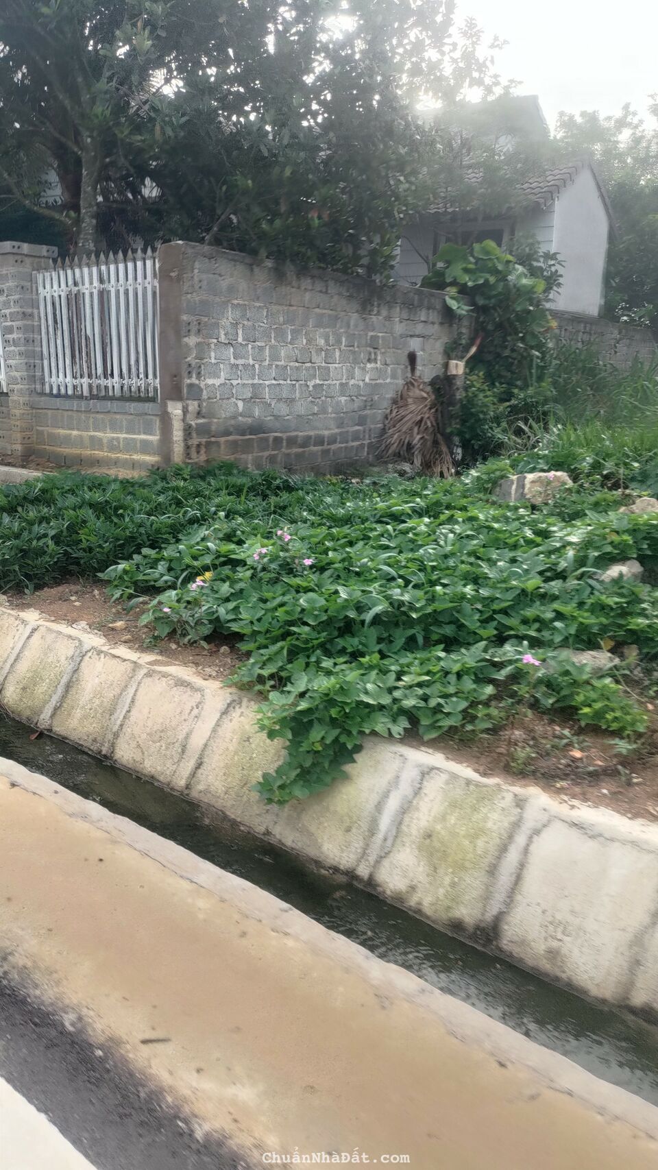 Bán nền mặt tiền Tố Hữu,p Lộc Sơn, tp Bảo Lộc dt 360m2 giá 2ty500