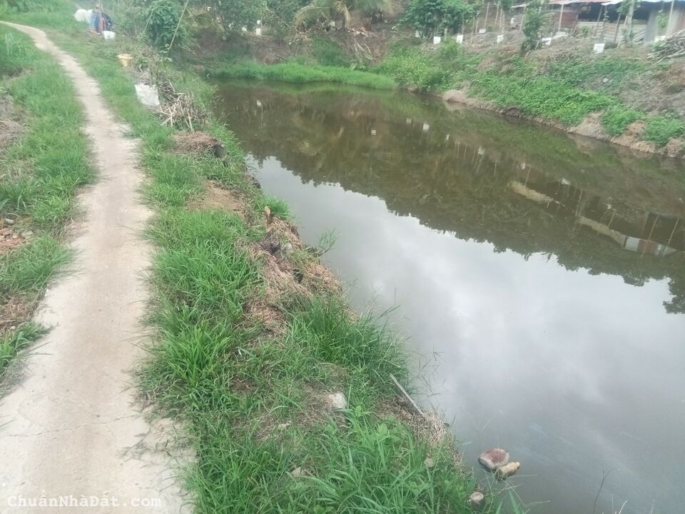 8764m2 đất vườn sầu riêng thôn 6, xã Lộc Nam, huyện Bảo Lâm, Lâm Đồng giá 4ty400 8764m2 đất vườn sầu riêng thôn 6, xã Lộc Nam, huyện Bảo Lâm, Lâm Đồng giá 4ty400