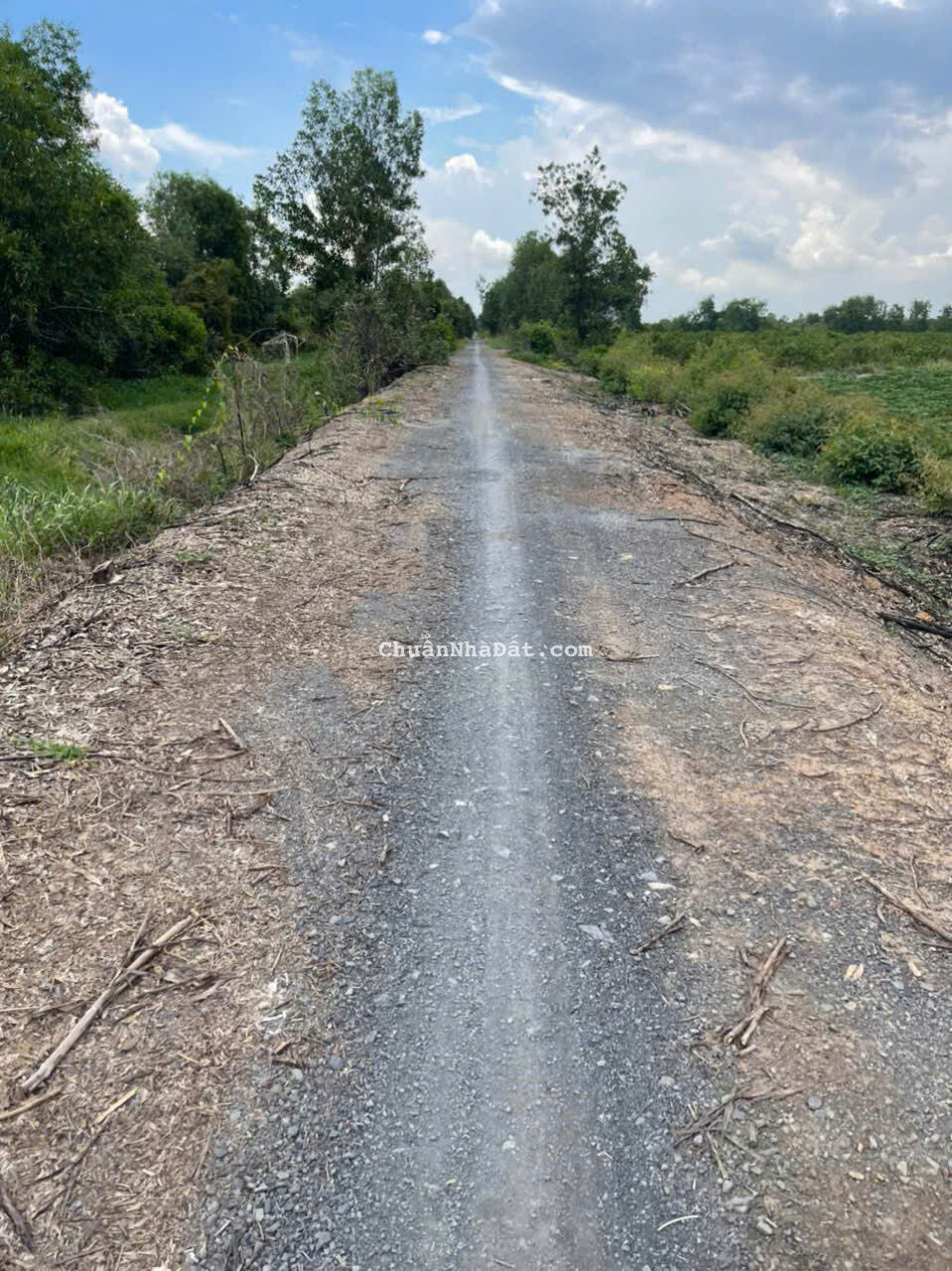 4ha đất vườn xã Thạnh Hòa,Bến Lức,Long An giá 15 tỷ